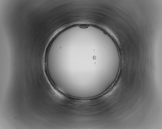 X0000116680845200912141004