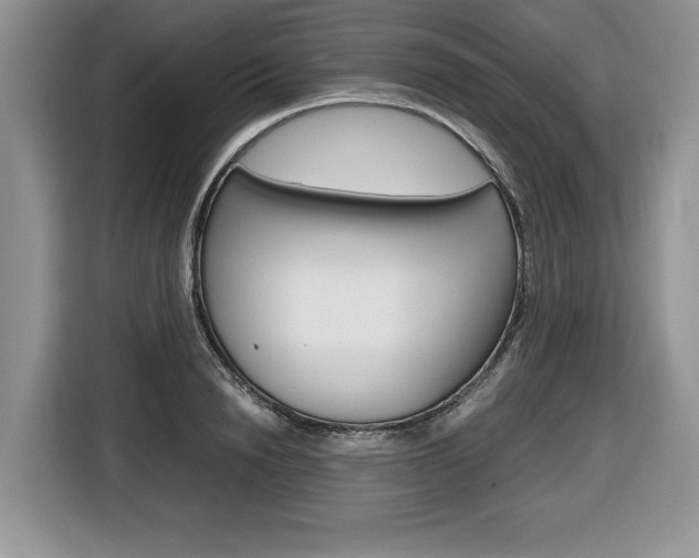 X0000116680846200912141004