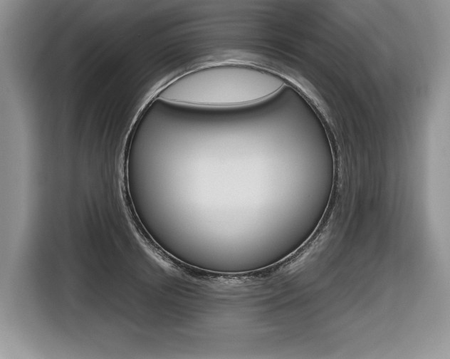 X0000116680850200912141004