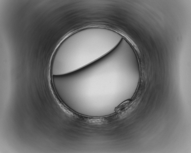 X0000116680853200912141004