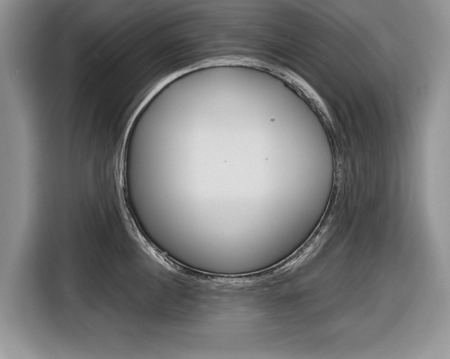 X0000116680860200912141004