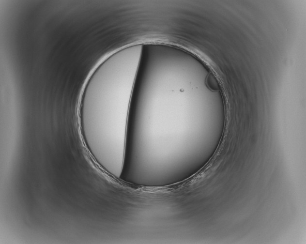 X0000116680864200912141004