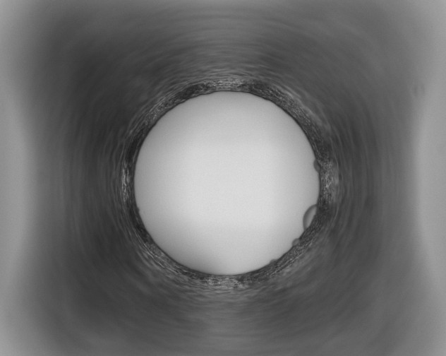 X0000116680866200912141003