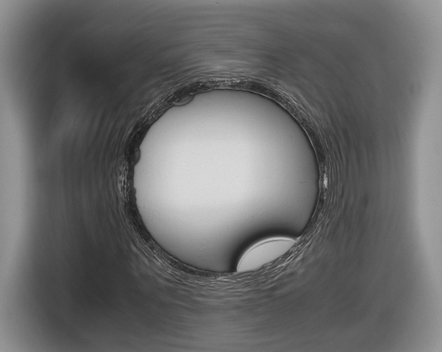 X0000116680867200912141003