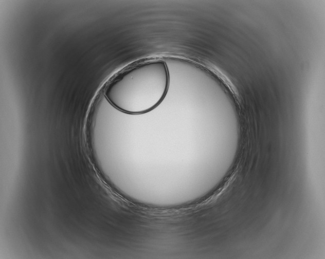 X0000116680876200912141003