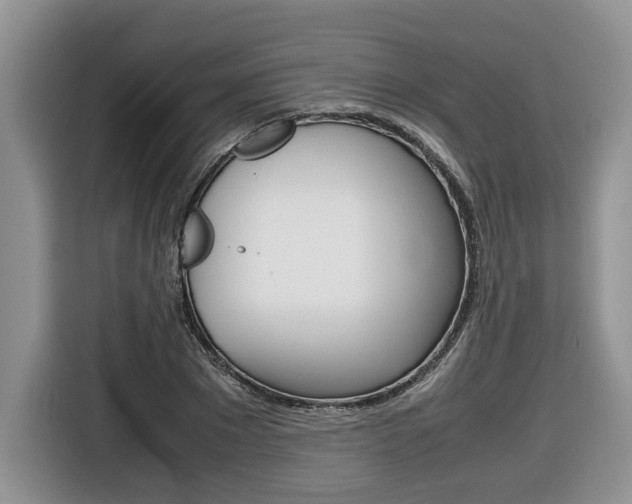 X0000116680881200912141003