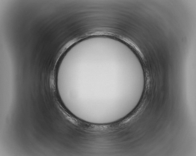 X0000116680882200912141003