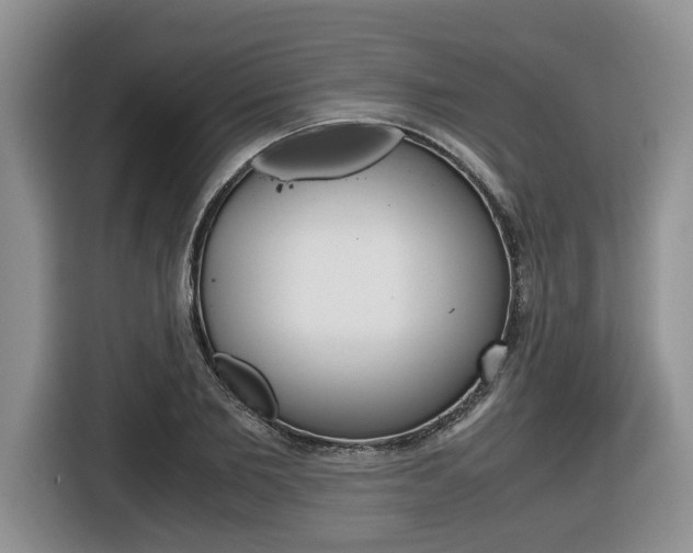 X0000116680885200912141003