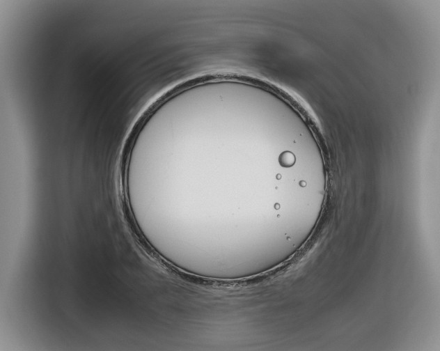 X0000116680887200912141003