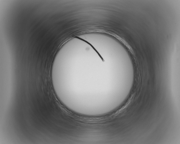 X0000116680889200912141003