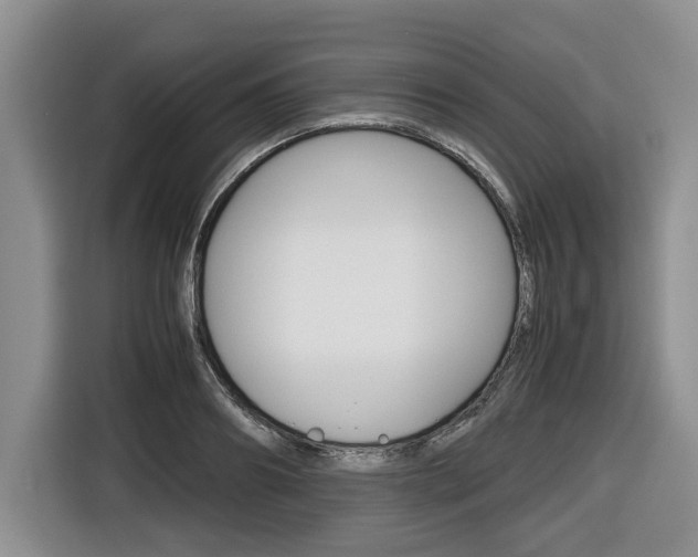 X0000116680890200912141003
