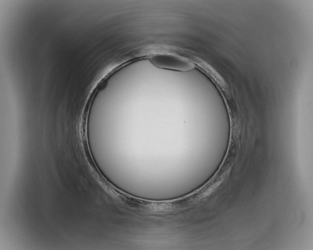 X0000116680893200912141003