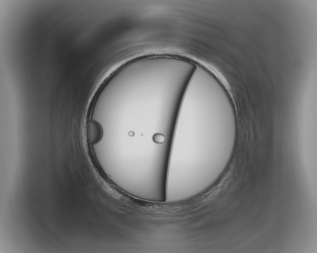 X0000116680895200912141003