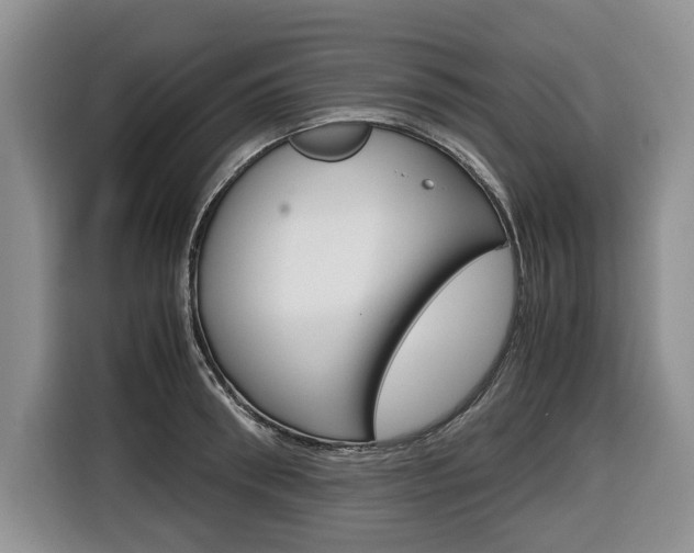 X0000116680898200912141003