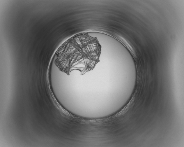 X0000116680900200912141003