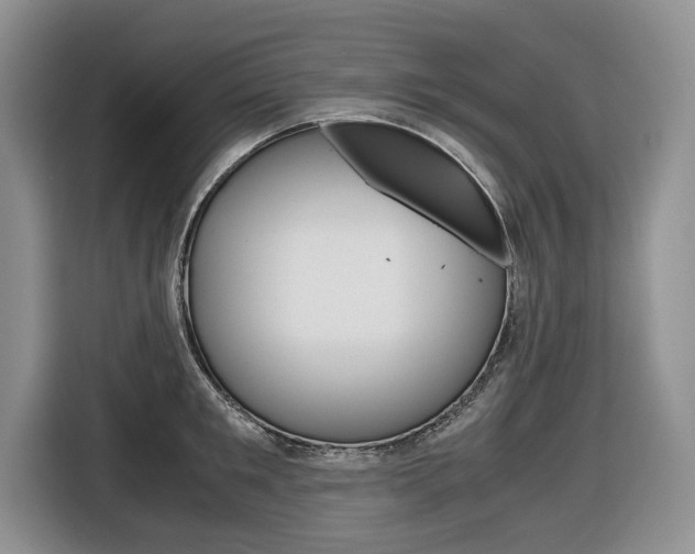 X0000116680901200912141003