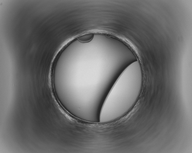 X0000116680902200912141003