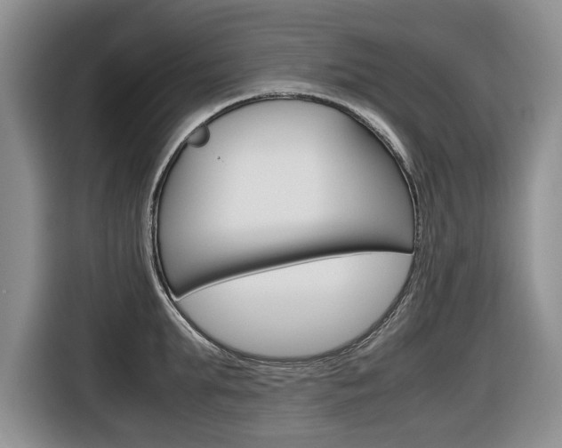 X0000116680903200912141003
