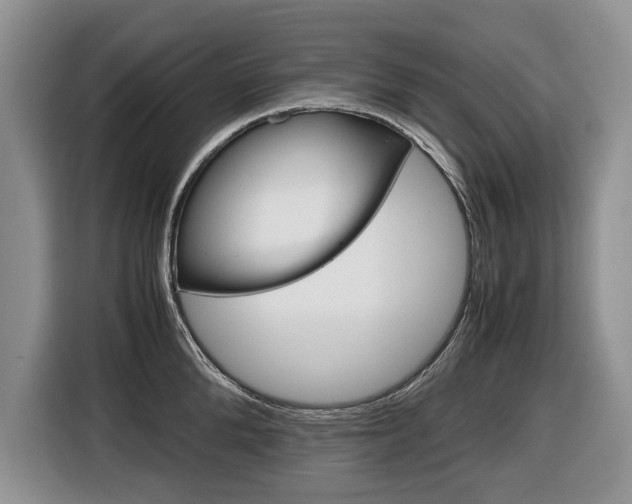 X0000116680904200912141003