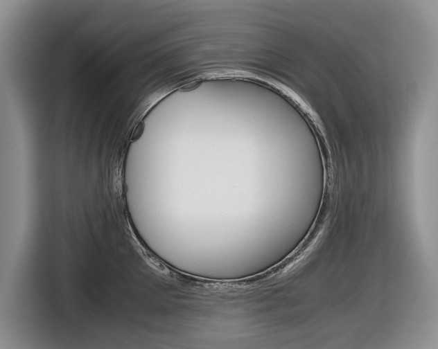 X0000116680905200912141003