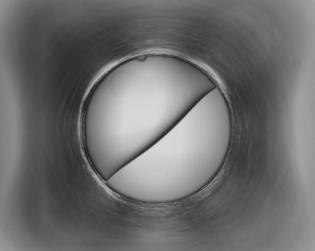 X0000116680910200912141003