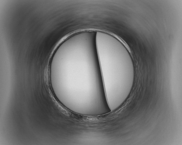 X0000116680911200912141003