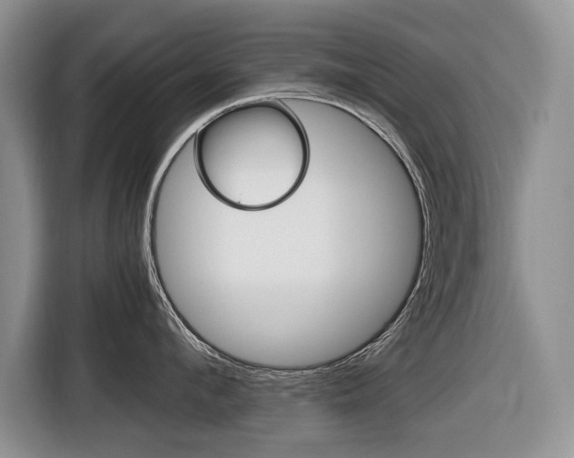 X0000116680912200912141003