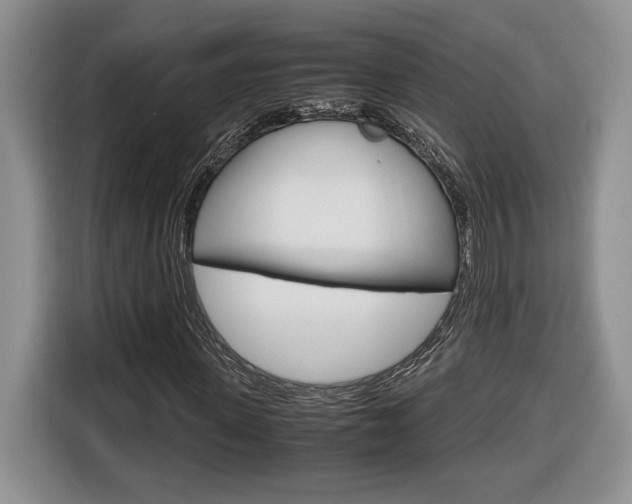 X0000116680915200912141002