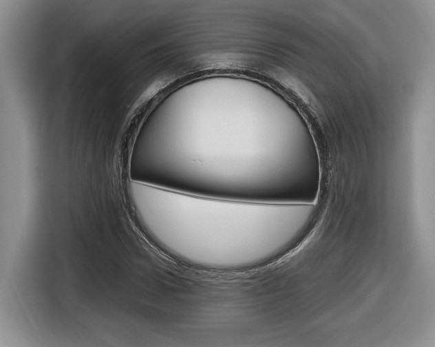 X0000116680922200912141002