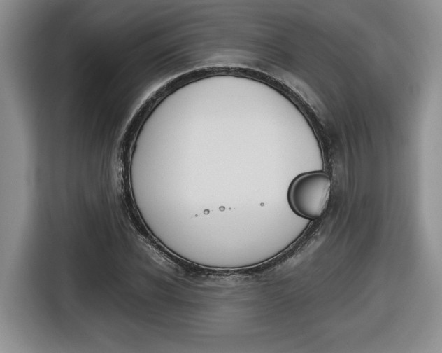 X0000116680926200912141002
