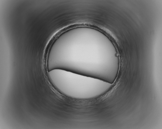 X0000116680927200912141002