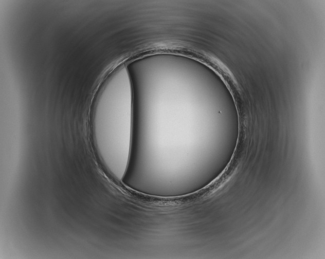 X0000116680930200912141002
