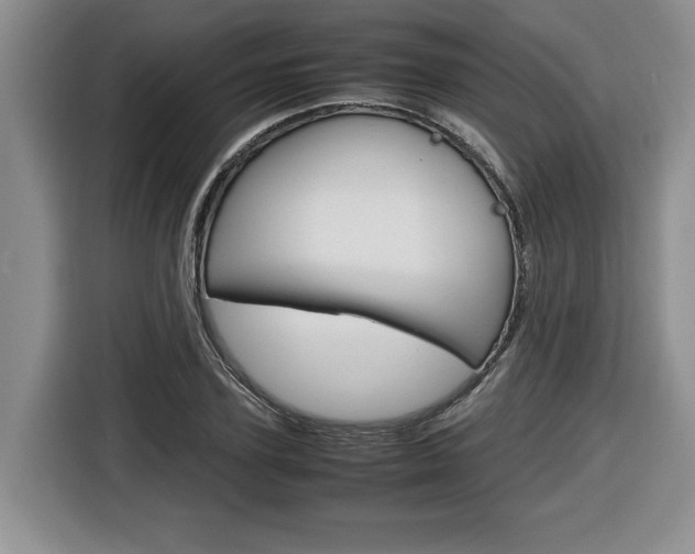 X0000116680931200912141002