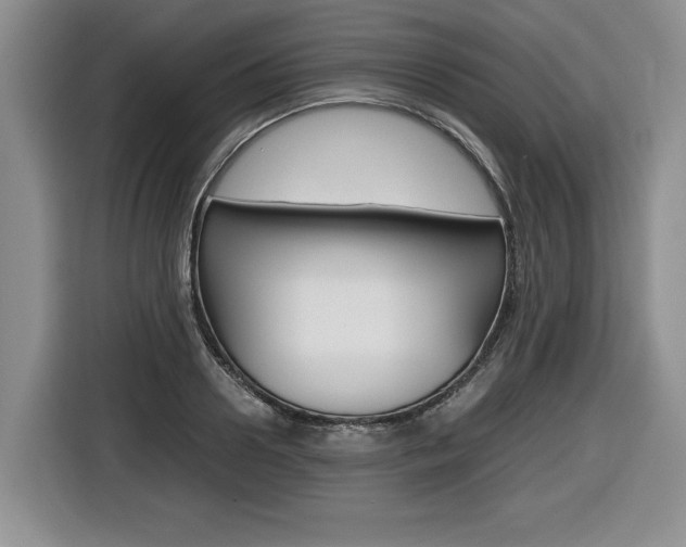 X0000116680938200912141002