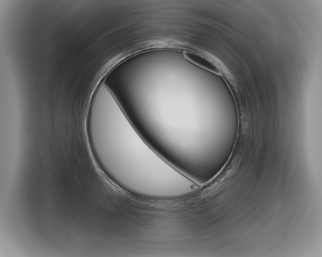 X0000116680946200912141002