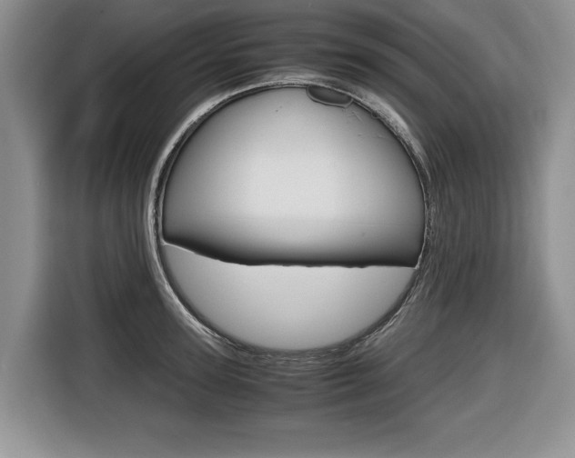 X0000116680947200912141002