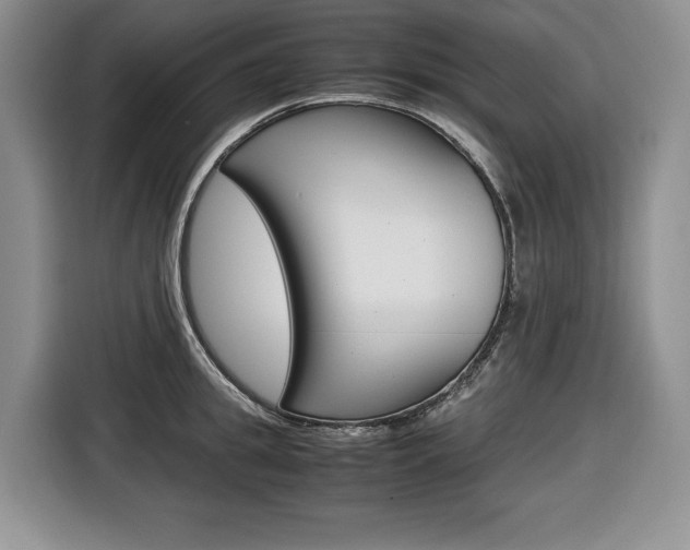 X0000116680949200912141002