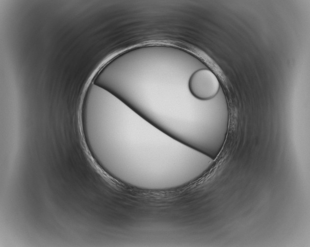 X0000116680955200912141003