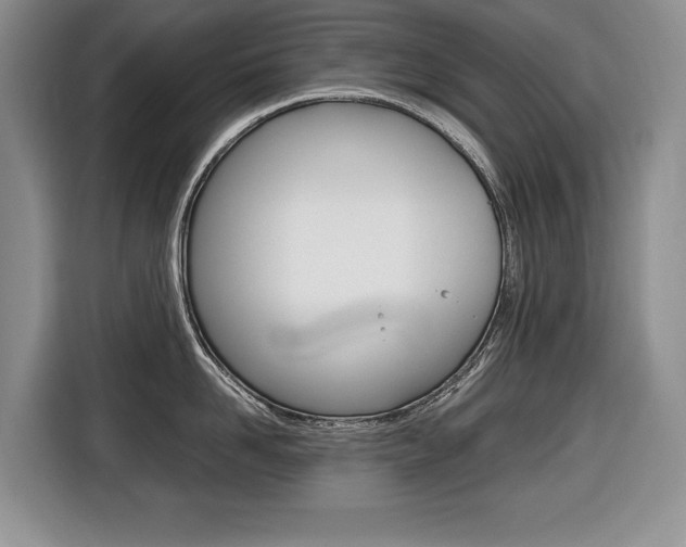 X0000116680958200912141003