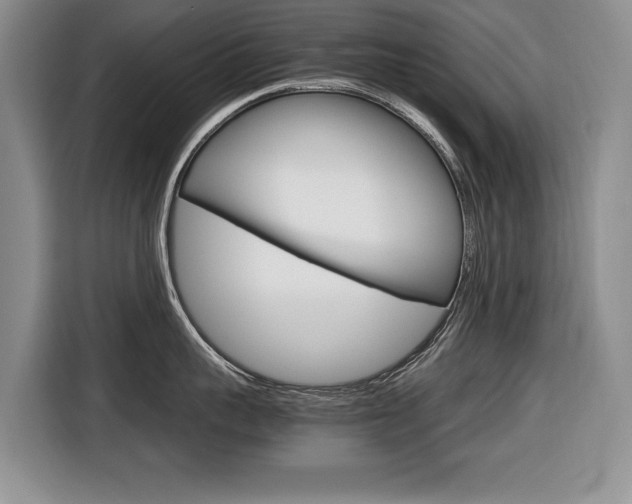 X0000116680959200912141003