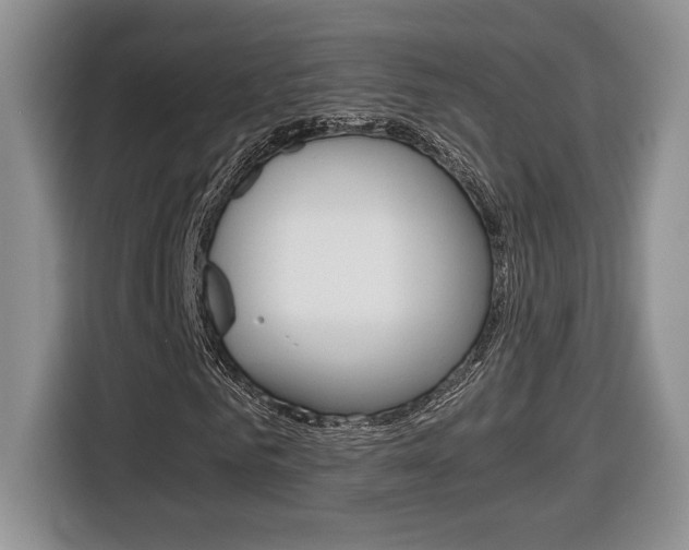 X0000116680961200912141002