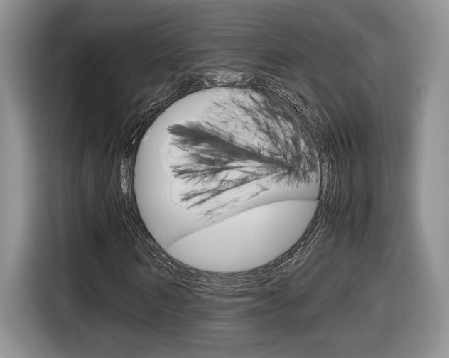X0000116680962200912141002