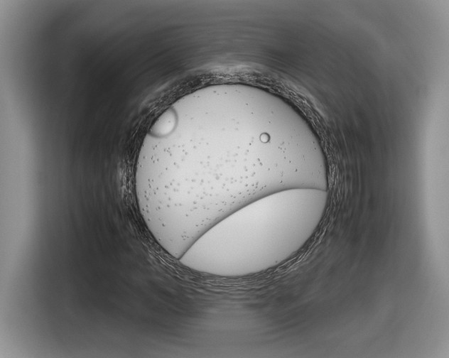 X0000116680966200912141002