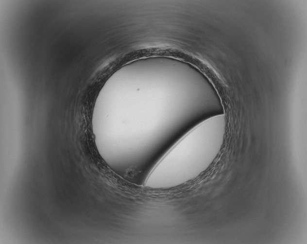 X0000116680967200912141002