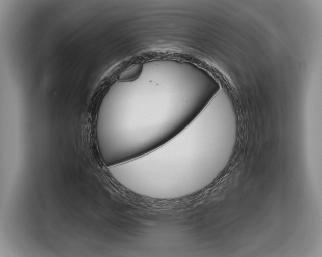 X0000116680968200912141002