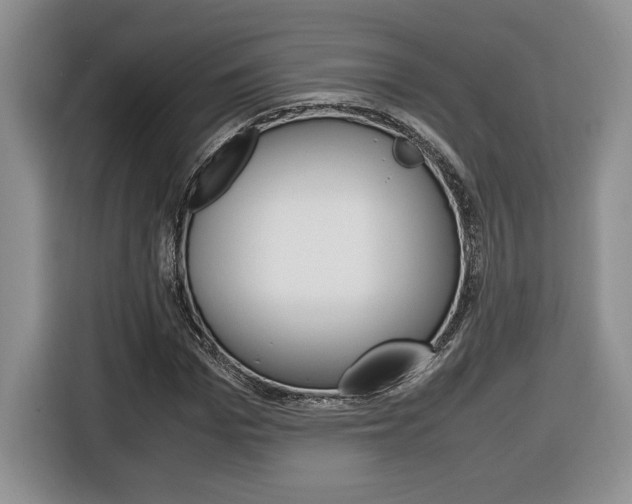 X0000116680969200912141002