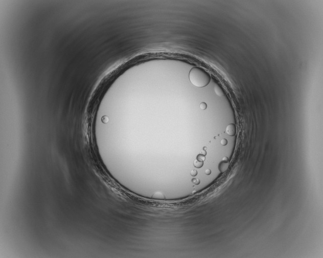 X0000116680974200912141002