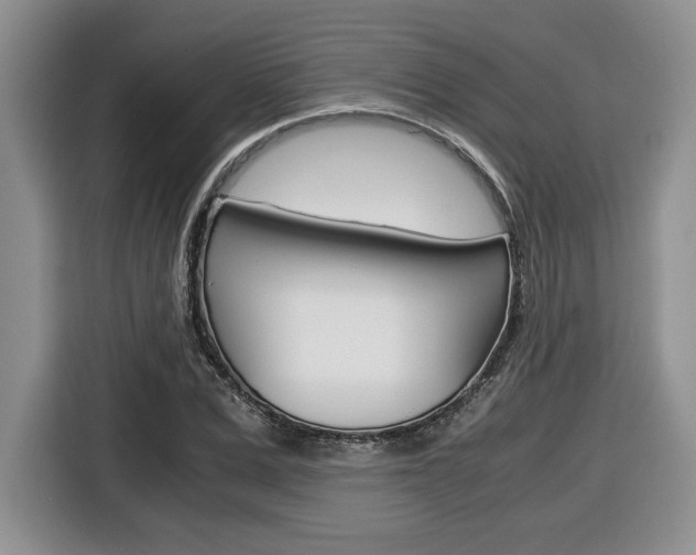 X0000116680975200912141002