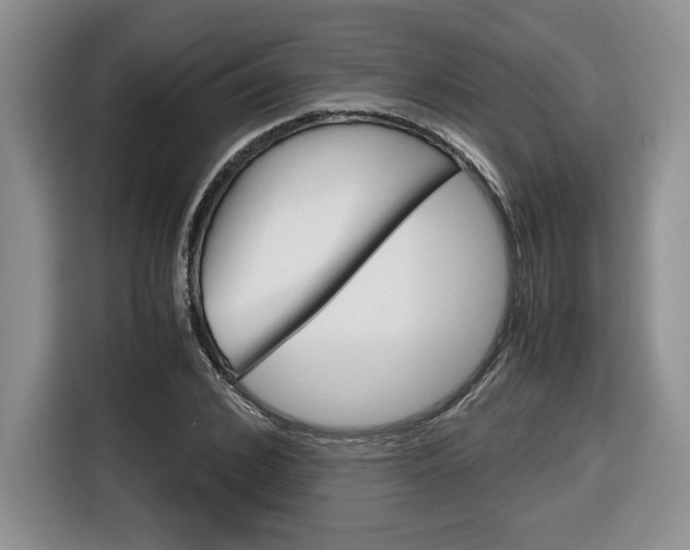 X0000116680976200912141002