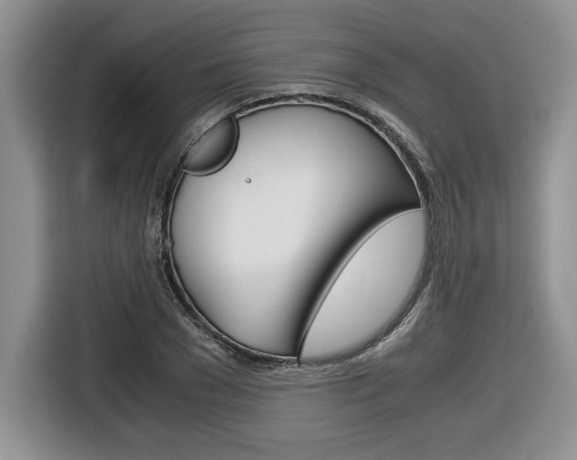 X0000116680977200912141002